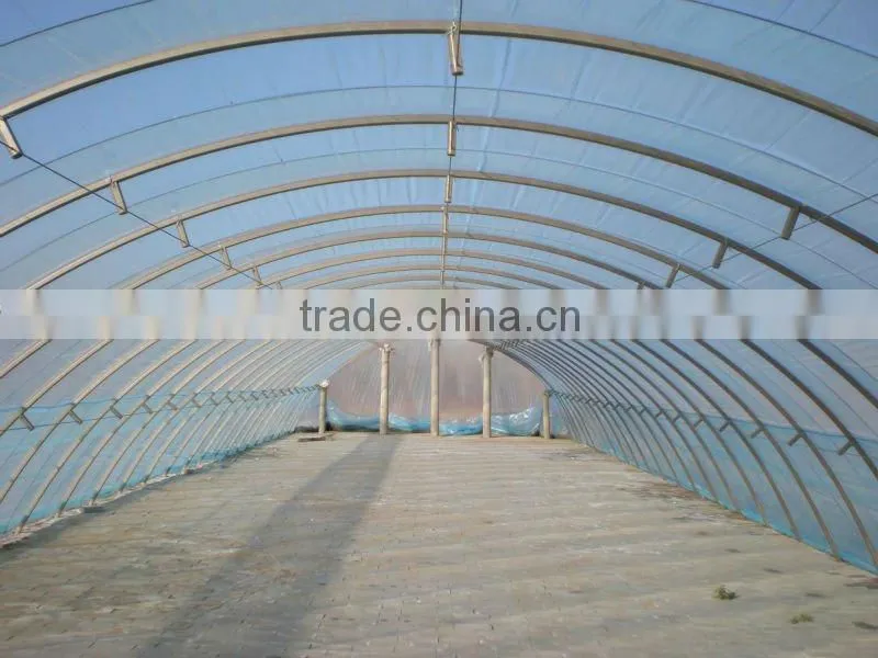Greenhouse film