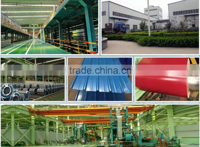 ppgi/prepaint galvanized steel coil