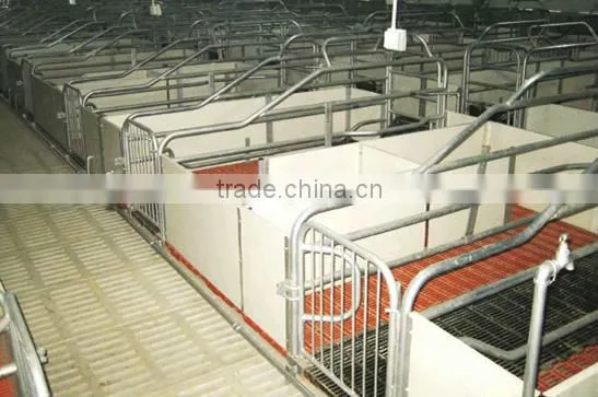 Complete controlled Poultry Equipment for Pig Raising