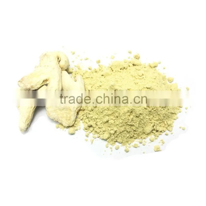 Wholesale Grade A Dried Ginger Powder