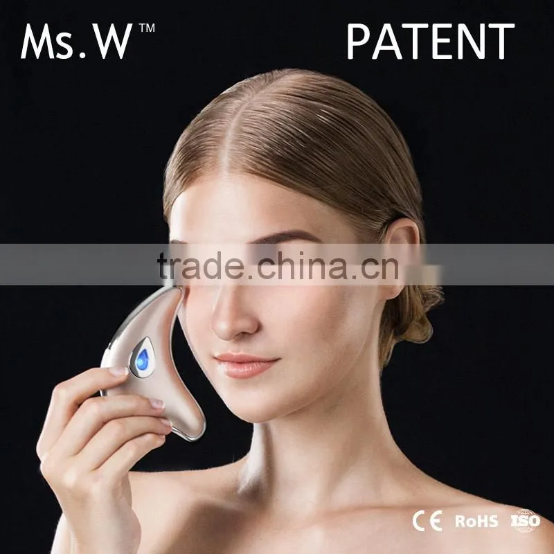 Best Selling Products Face Massage with Dolphin Shape Tow Work Modes
