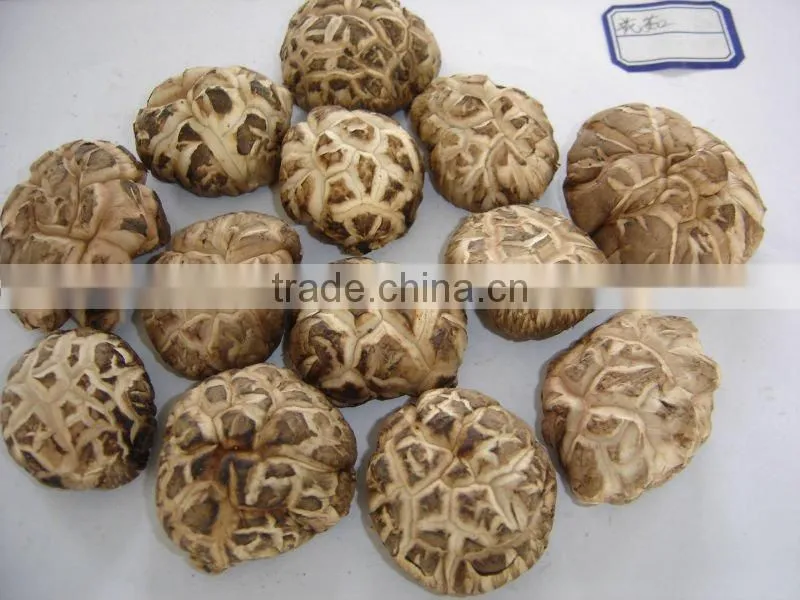 Dried Flower Mushroom