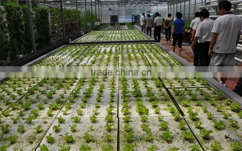 Expanded perlite supplier
