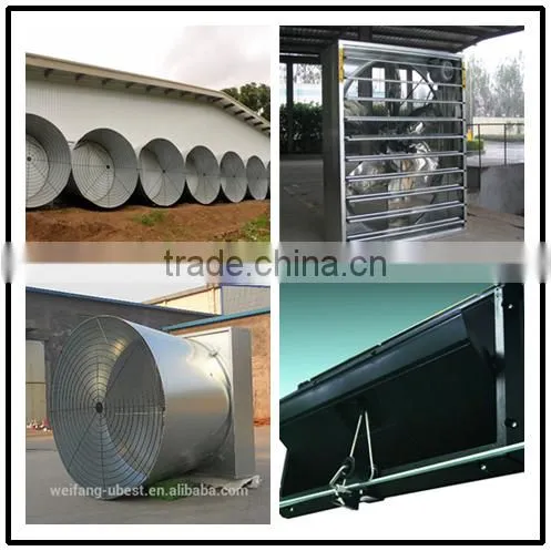 automatic rearing breeders chicken farm equipment