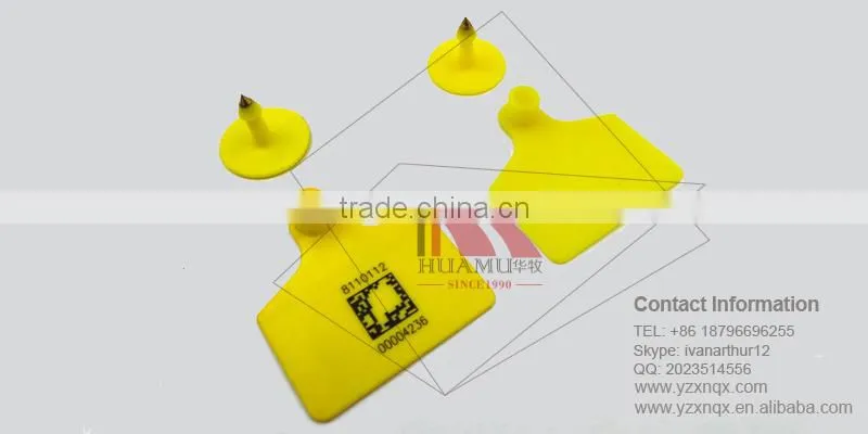 TPU ear tag for calf in yellow 60*56 mm