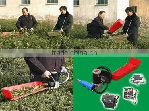Tea plucking machine