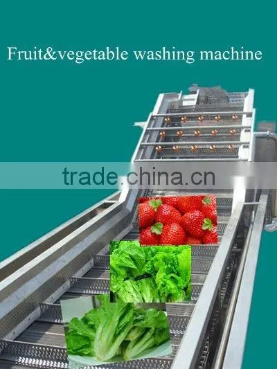onion washing cleaning machine