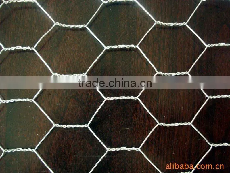 common iron nail