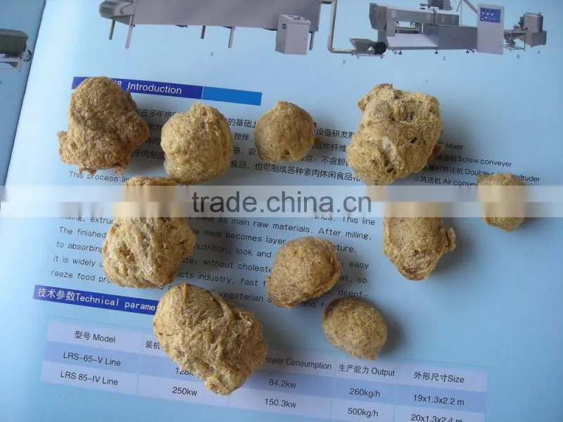 Examinate Twin Screw Extruder Food Machine