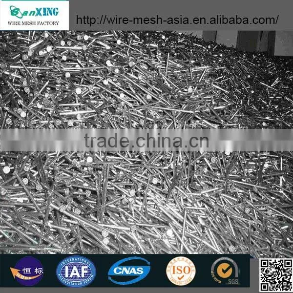 Common Nail price of Iron Nail Factory