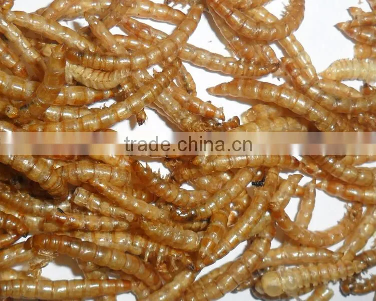 Chicken Farms Chicken Feed Dried Mealworms