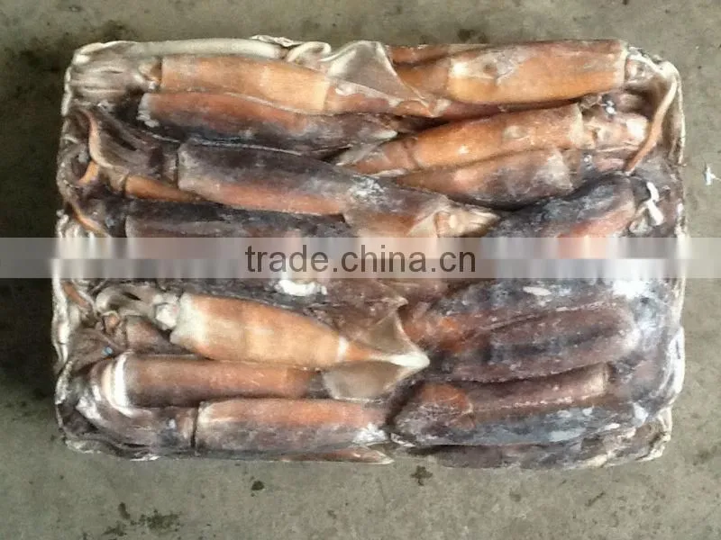 Frozen whole round illex squid sea frozen illex squid