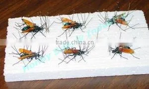 China Continental Entomological Stainless Steel Headless Micro Pins