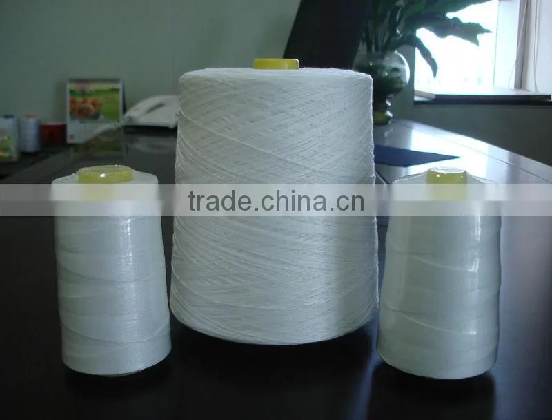 Excellent 100% Polyester Bag Closing Thread For Bag Closing Machine Etc