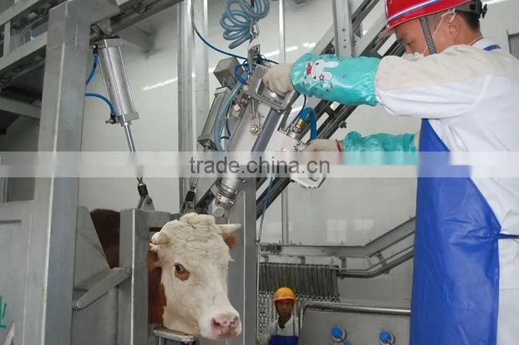 Factory sell directly beef slaughter line