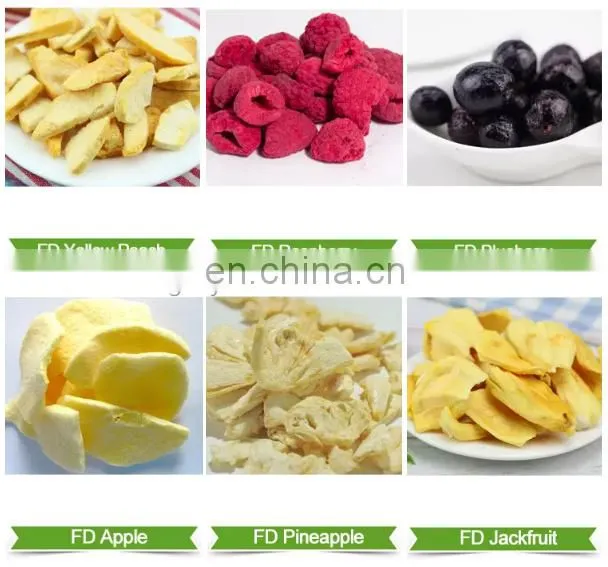 lyophilizer for food freeze vacuum drying processing