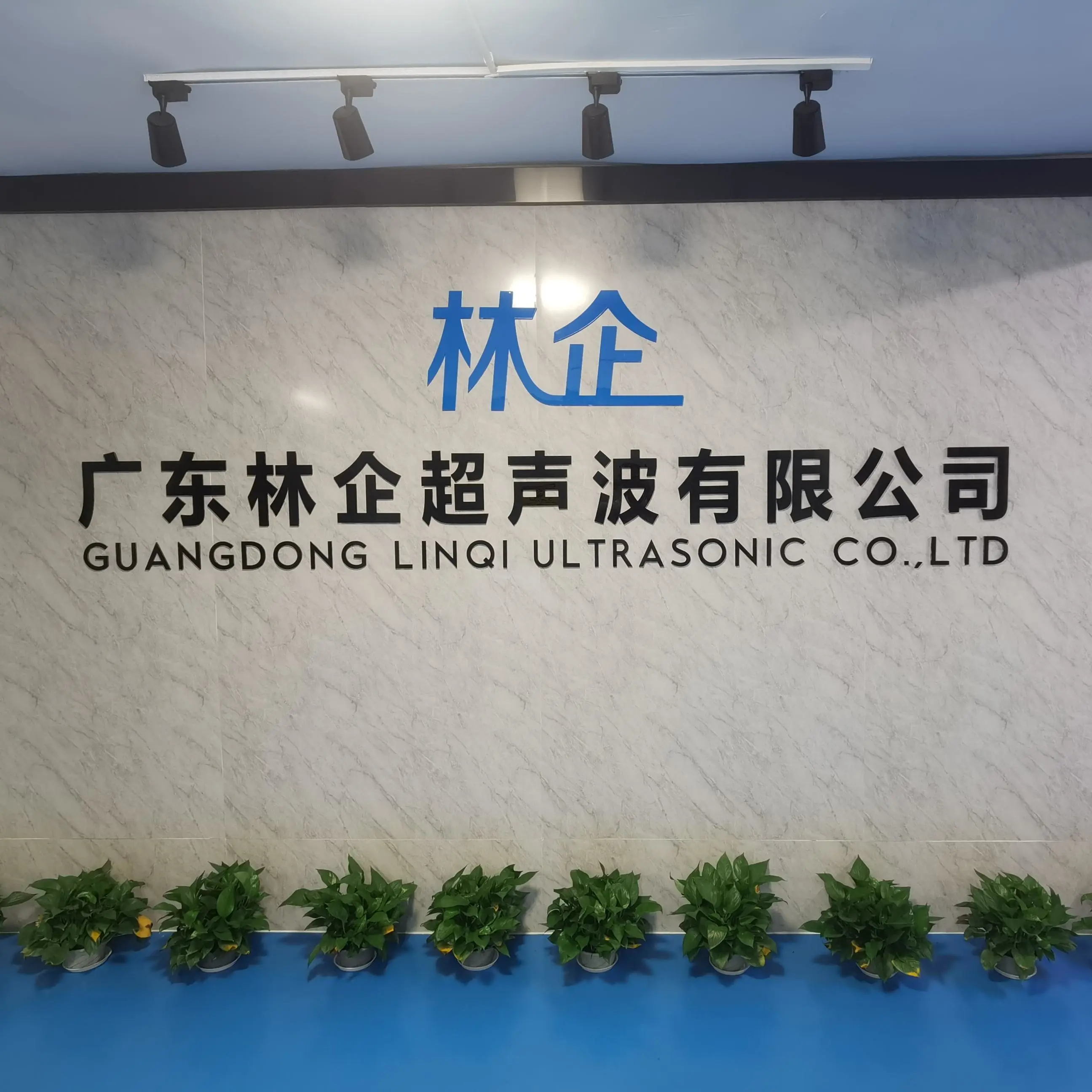 Guangdong Linqi Ultrasonic Co., Ltd. company overview - view 1