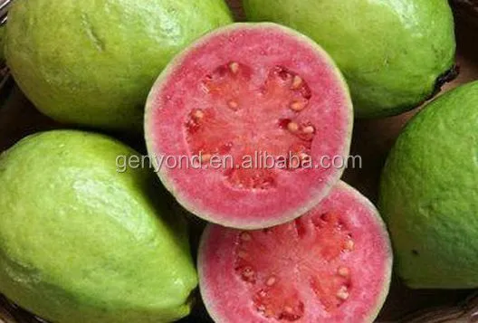 Small Capacity Guava Jam