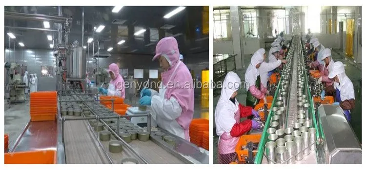 Complete Canned Fish Production Line / Tuna in Oil Production Line