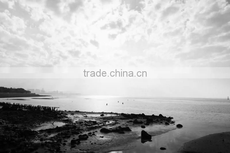 82mm Yellow filter Massa high quality color filter