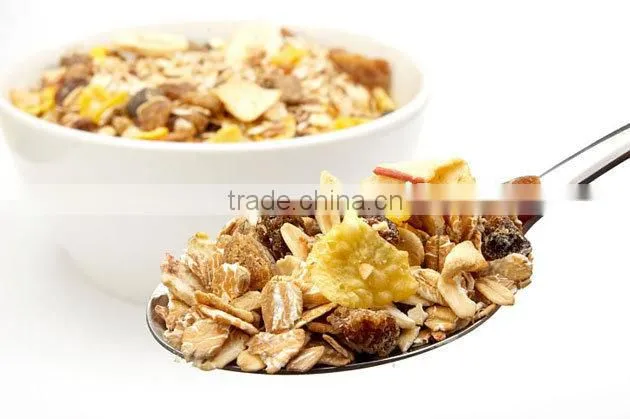 PLC controlled automatic expanded kelloggs corn flakes production machinery