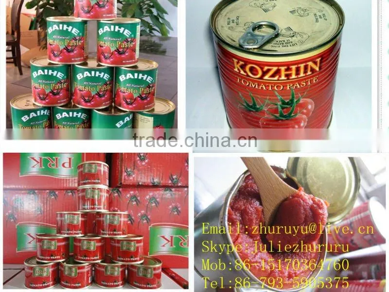 400g*24tins tinned tomato paste export to Africa,Mid-east,Europe