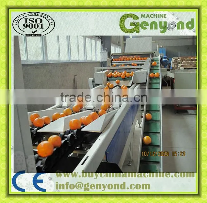 orange opto-electronic grading line