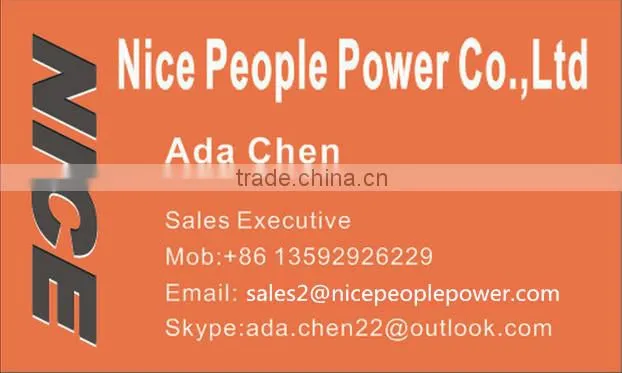 Nice power 1kw Solar Energy System 1000w solar home system