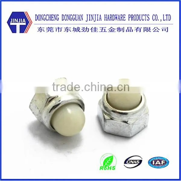 dongguan precise Nylon cap nut