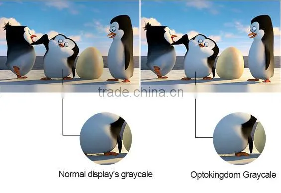 Video Display Function and Outdoor Usage led outdoor display