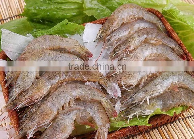 JY-30 Best Quality Shrimp Grading Machine