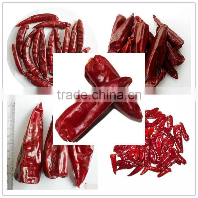 best price of dried chili