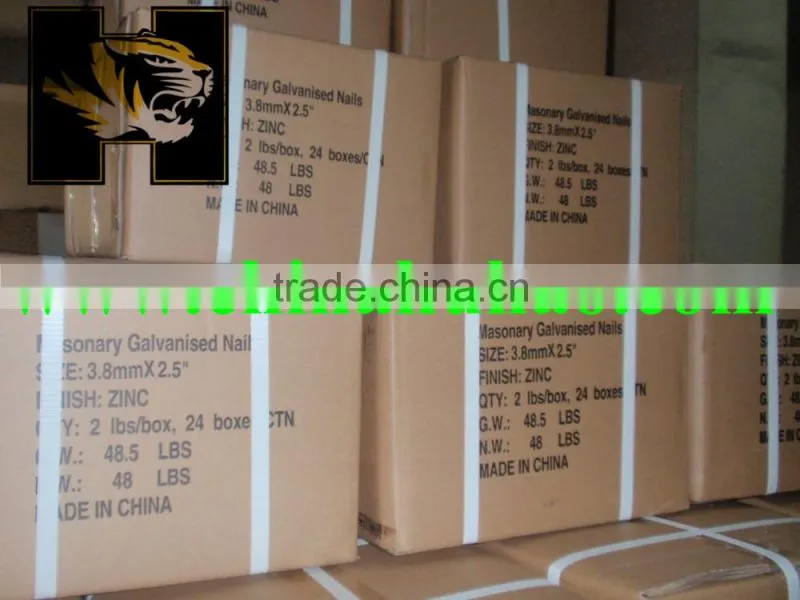 Alibaba gold supplier #55 concrete steel nails