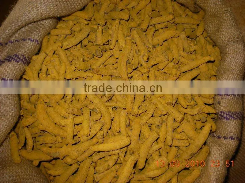 INDIAN high quality Turmeric powder