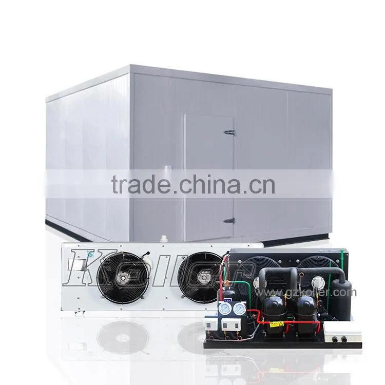 Koller commercial 15 tons cold storage room with compressors for fruits VCR50
