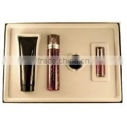 Shoes boxes Gift Packaging PVC Box (ZDPVC11-045)