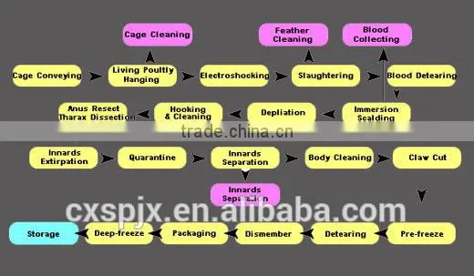 500 chicken slaughter line slaughterhouse/poultry abattoir