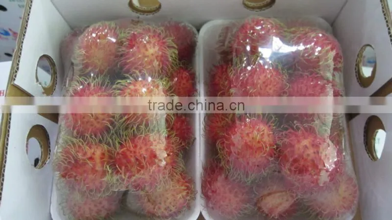 Fresh Rambutan best price and high quality from Vietnam