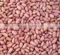 blanched peanuts kernels with new crop