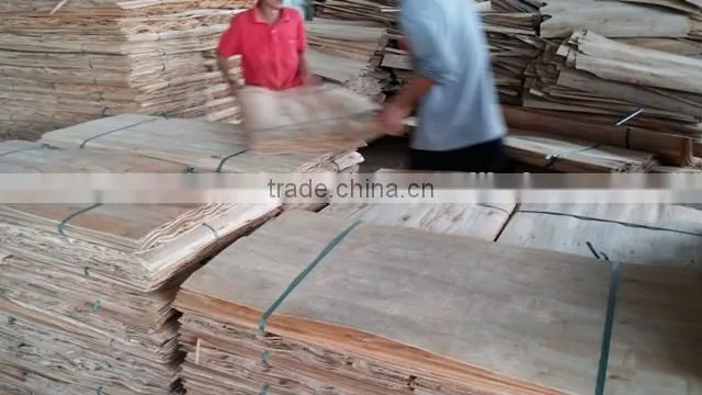 100% A grade Eucalyptus core veneer origin of Vietnam