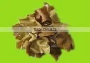 oil expellers machine/Oil extruder/ oil expeller machine