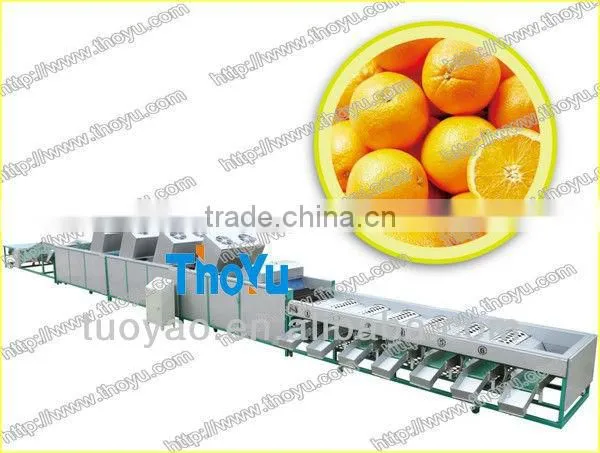 THOYU brand Vegetable and Fruit Grading Machine by Size(skype:serathoyu)