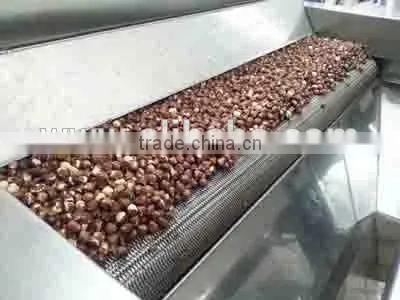 CASHEW ROASTING OVEN (Model 10000)