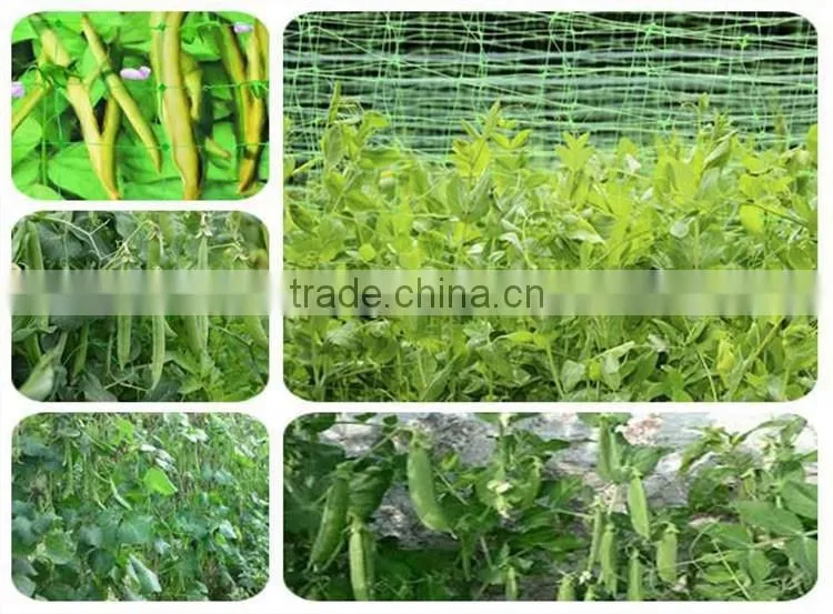 Hot sale UV treated BOP strech net plastic plant climbing nets