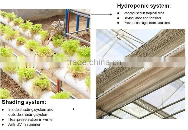 Film greenhouse manufactures