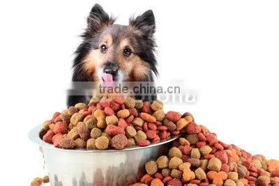 Pet Food for dogs Puppy Formula bulk dog food