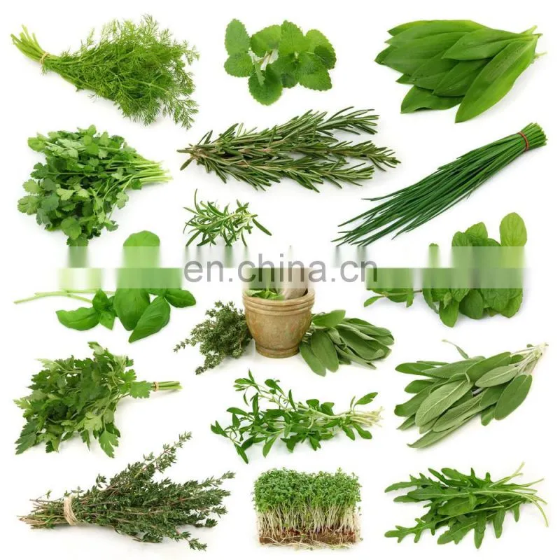 Chinese Herb Ultrasonic Extraction machine