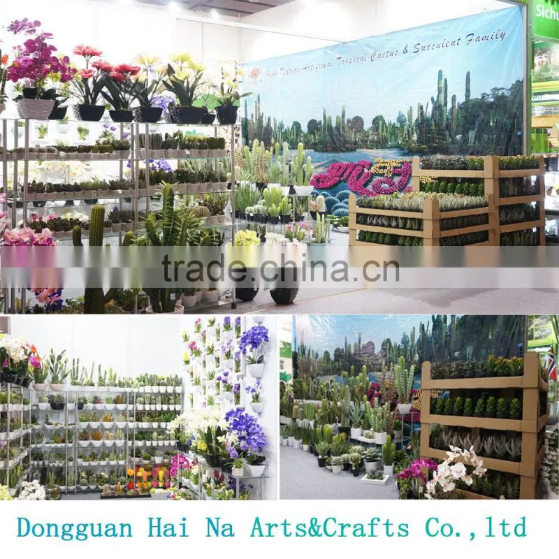 Wholesale artificial potted plants artificial succulent series for indoor decoration