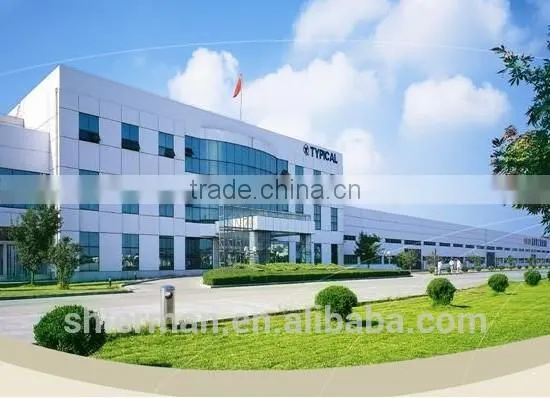 Typical TW2-B875-5 high speed double needle needle feed lockstitch industrial sewing machine