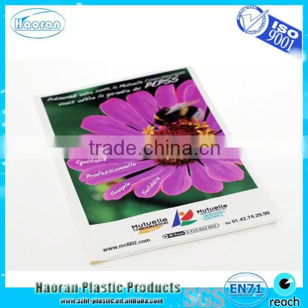 Clear vinyl letter size document holder